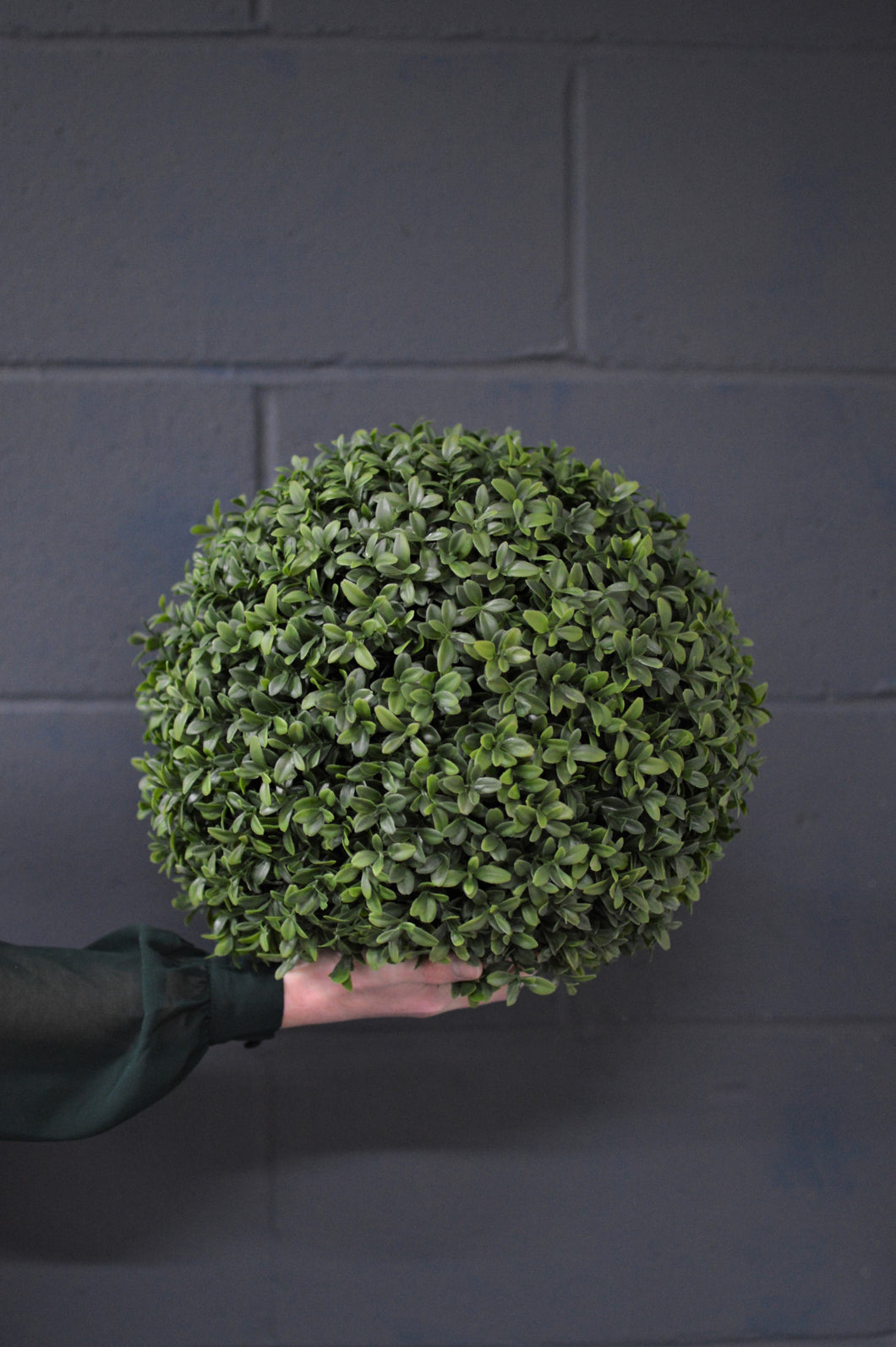 Boxwood Ball - 30cm