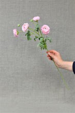 Load image into Gallery viewer, Ranunculus Spray - Pale Pink
