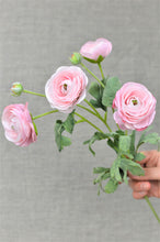 Load image into Gallery viewer, Ranunculus Spray - Pale Pink
