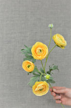 Load image into Gallery viewer, Ranunculus Spray - Yellow
