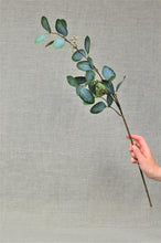 Load image into Gallery viewer, Eucalyptus with berries - Green
