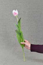 Load image into Gallery viewer, Tulip - Cream/Red
