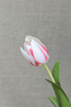 Load image into Gallery viewer, Tulip - Cream/Red
