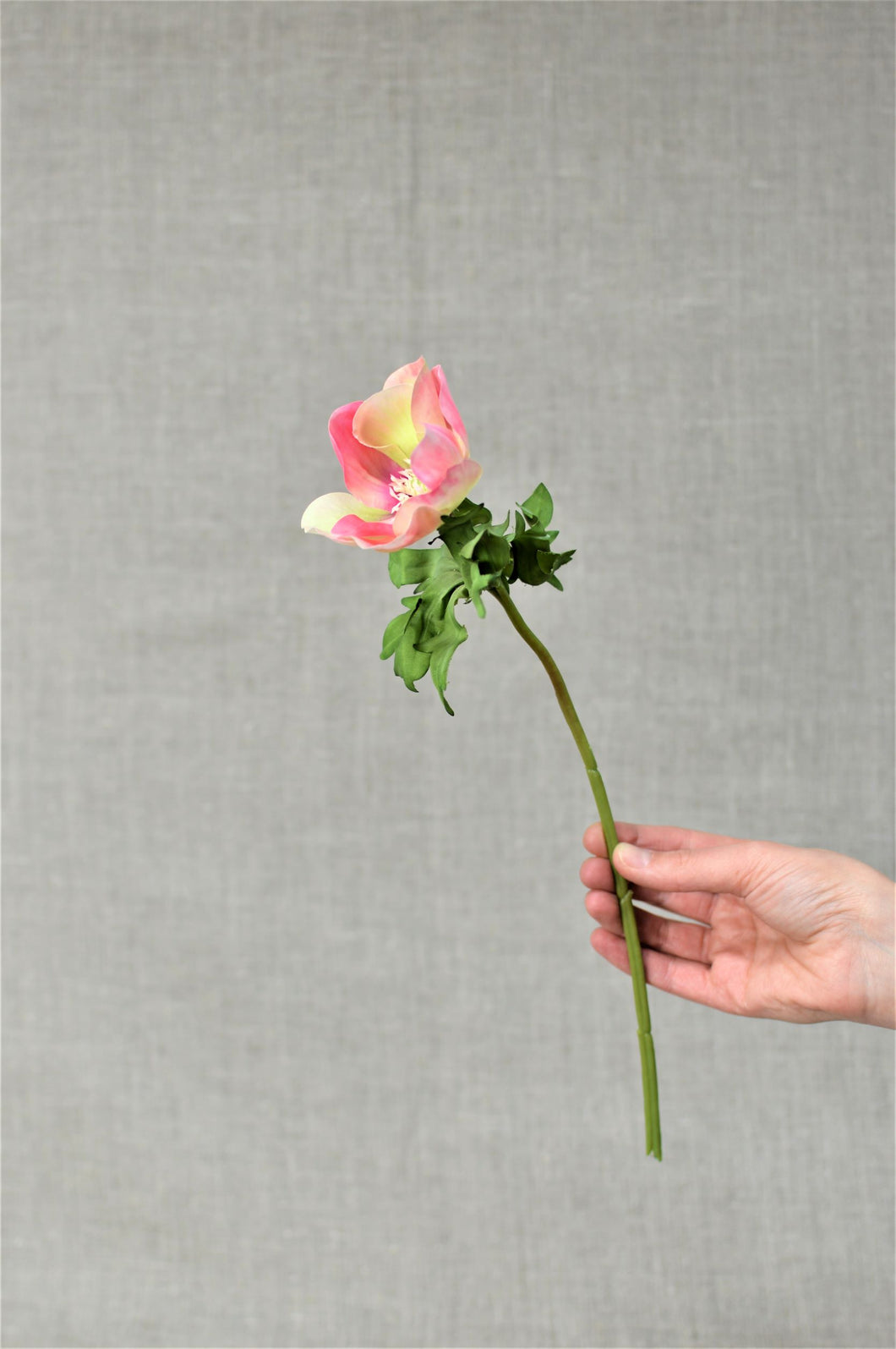 Anemone Stem - Pink/Yellow