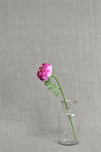 Load image into Gallery viewer, Ranunculus Stem - Cerise
