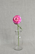 Load image into Gallery viewer, Ranunculus Stem - Cerise
