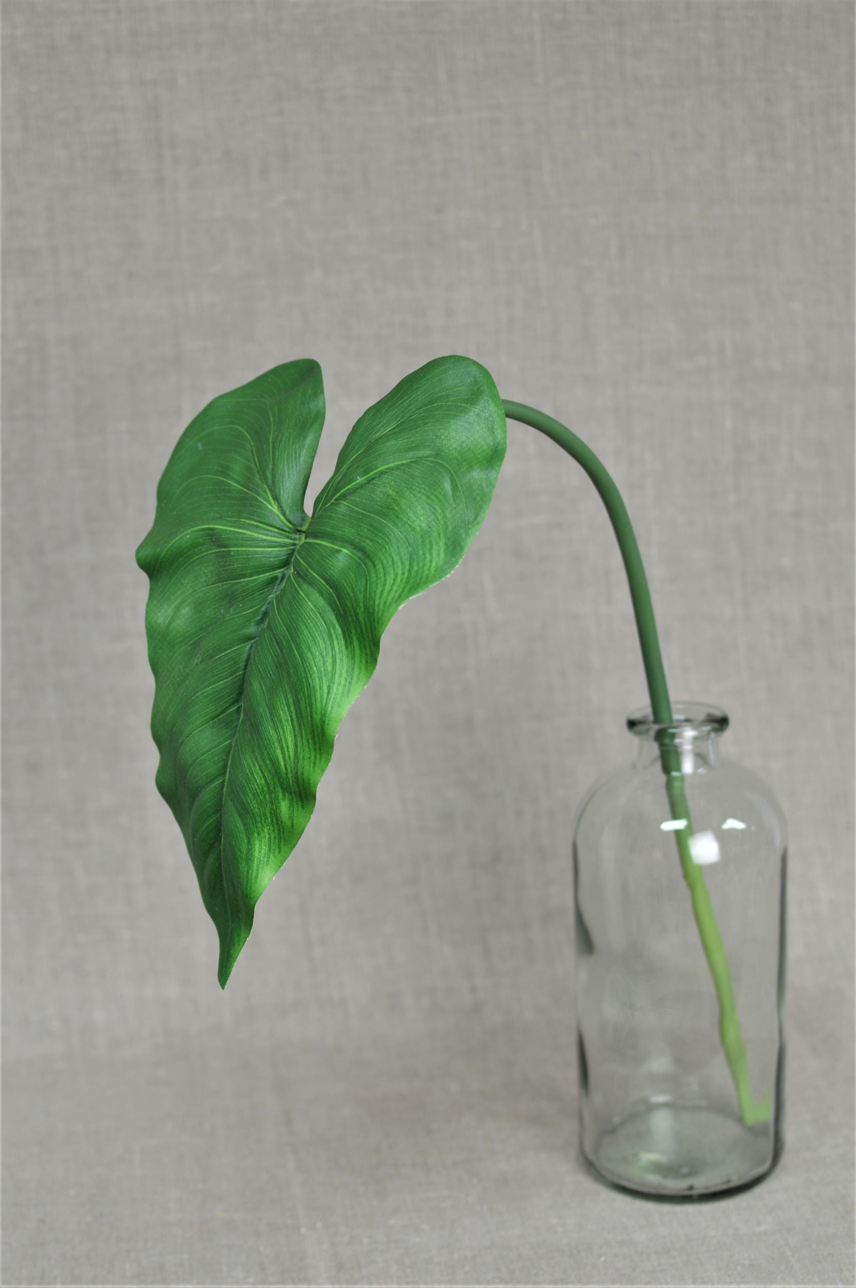 Calla Lily Leaf - Green – Petals for Life