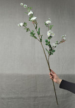 Load image into Gallery viewer, Rose Rambling Branch - White
