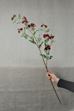 Load image into Gallery viewer, Rose Rambling Branch - Red
