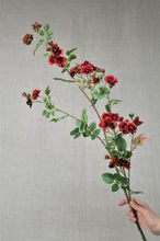 Load image into Gallery viewer, Rose Rambling Branch - Red
