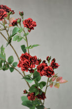 Load image into Gallery viewer, Rose Rambling Branch - Red
