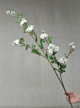 Load image into Gallery viewer, Rose Rambling Branch - White

