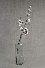 Load image into Gallery viewer, Blossom Cherry - Cream
