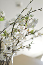 Load image into Gallery viewer, Blossom Cherry - Cream
