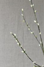 Load image into Gallery viewer, Pussy Willow Spray - Cream
