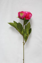 Load image into Gallery viewer, Peony Stem - two tone pink
