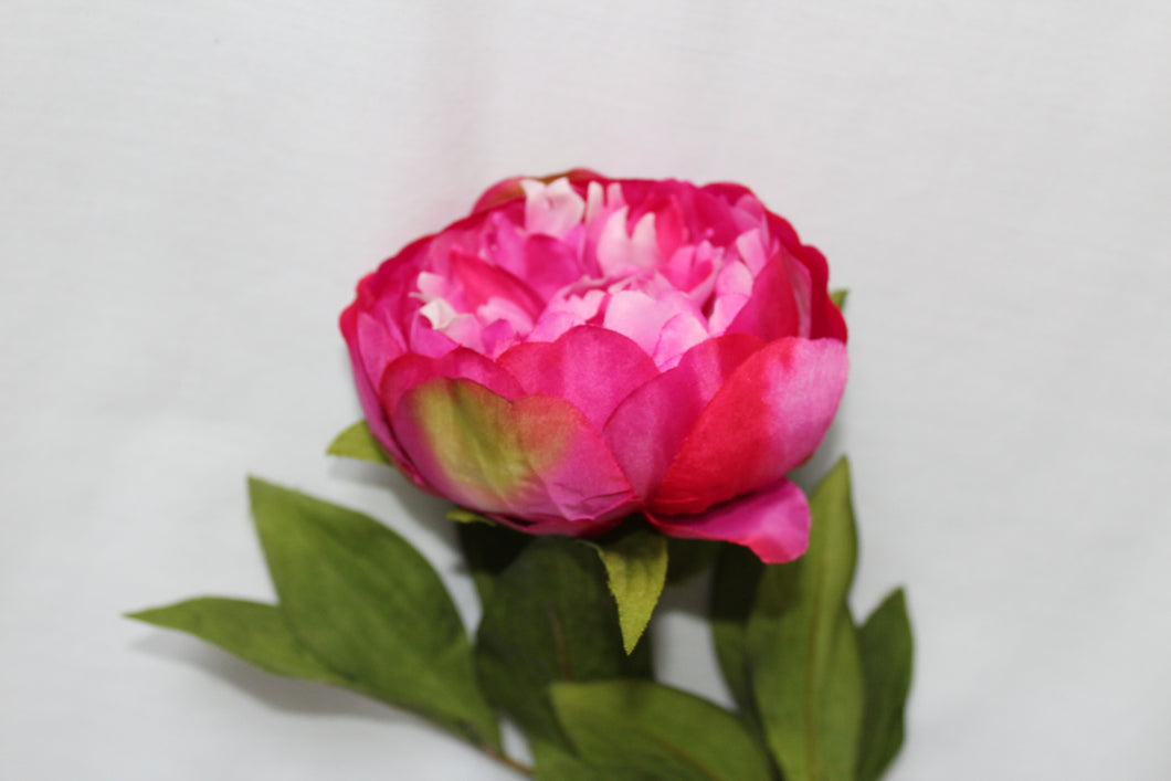 Peony Stem - two tone pink