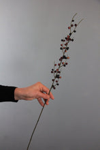 Load image into Gallery viewer, Pyracanthus Berry - Burgundy
