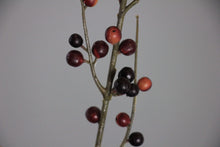 Load image into Gallery viewer, Pyracanthus Berry - Burgundy
