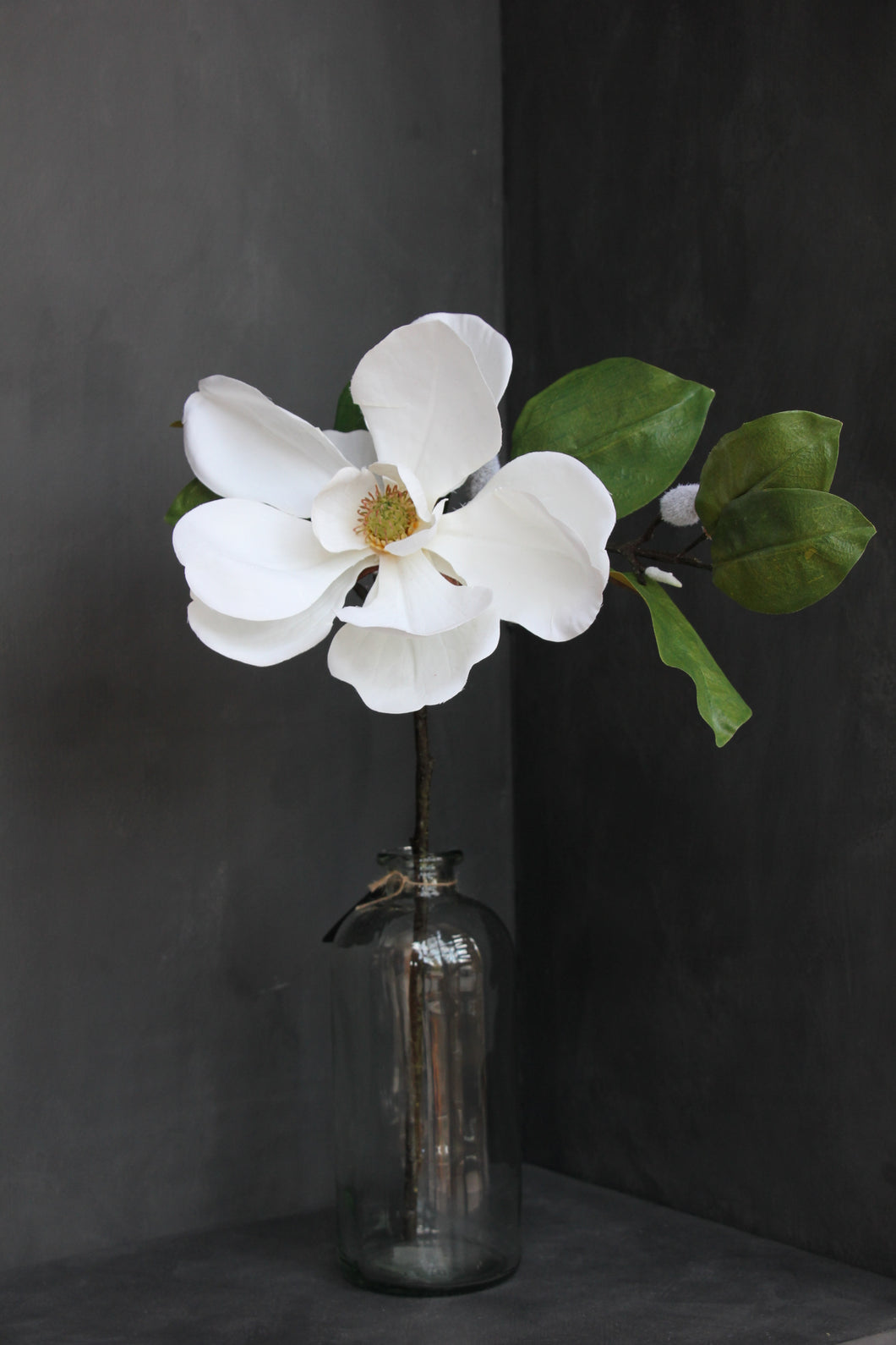 Magnolia Stem - White
