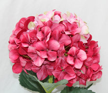 Load image into Gallery viewer, Hydrangea Large- 107cm - Cerise
