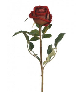 Rose Velvet Amore - 69cm - Burgundy